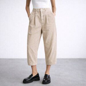 BDG Urban Outfitters Pleated Corduroy Pants